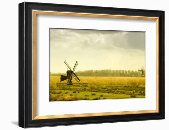 Windmills in a Field in the Netherlands, One Old and One New-Sheila Haddad-Framed Photographic Print