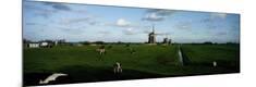 Photographic Print