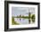 Windmills of Kinderdijk, in the municipality of Molenwaard. UNESCO World Heritage Site since 1997.-Adam Jones-Framed Photographic Print