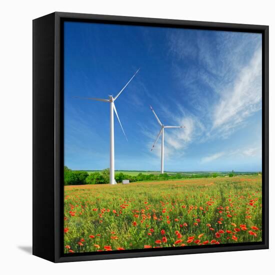 Windmills on a Field in the Early Spring Makovm-Krivosheev Vitaly-Framed Premier Image Canvas