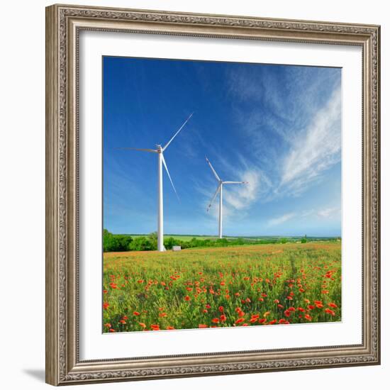 Windmills on a Field in the Early Spring Makovm-Krivosheev Vitaly-Framed Photographic Print