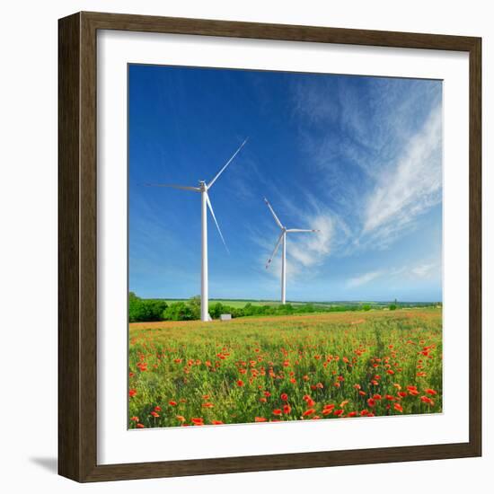 Windmills on a Field in the Early Spring Makovm-Krivosheev Vitaly-Framed Photographic Print