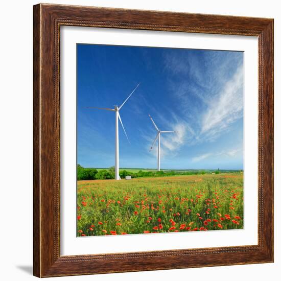 Windmills on a Field in the Early Spring Makovm-Krivosheev Vitaly-Framed Photographic Print