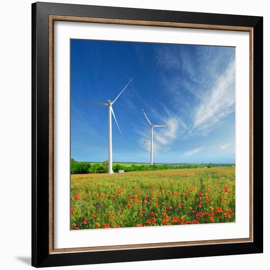 Windmills on a Field in the Early Spring Makovm-Krivosheev Vitaly-Framed Photographic Print