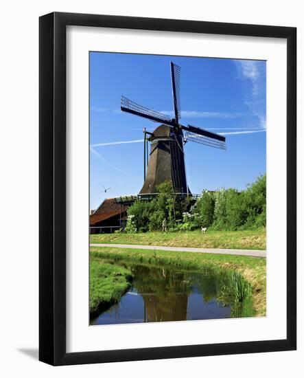 Windmills, Zaanse Schans, Zaanstad, Netherlands-Miva Stock-Framed Photographic Print