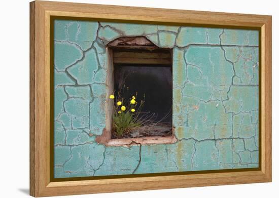 Window 3-Wayne Bradbury-Framed Premier Image Canvas