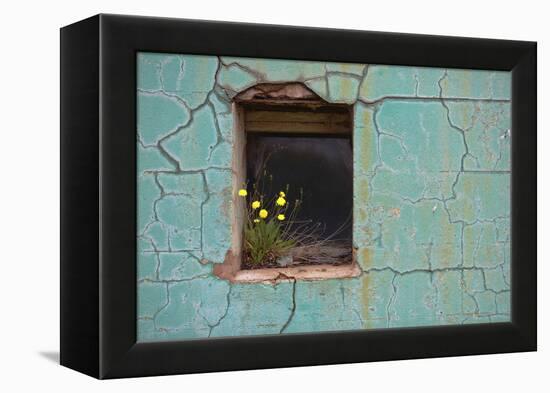 Window 3-Wayne Bradbury-Framed Premier Image Canvas