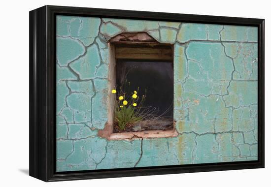 Window 3-Wayne Bradbury-Framed Premier Image Canvas