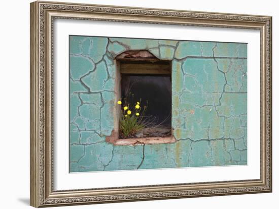 Window 3-Wayne Bradbury-Framed Photographic Print