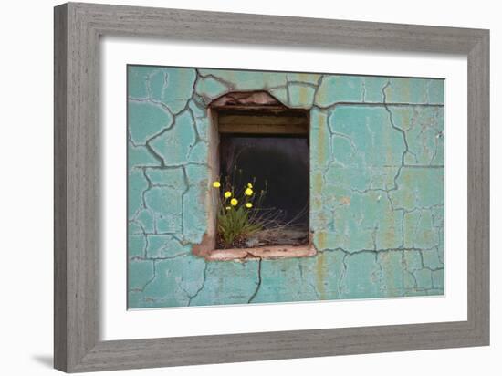 Window 3-Wayne Bradbury-Framed Photographic Print