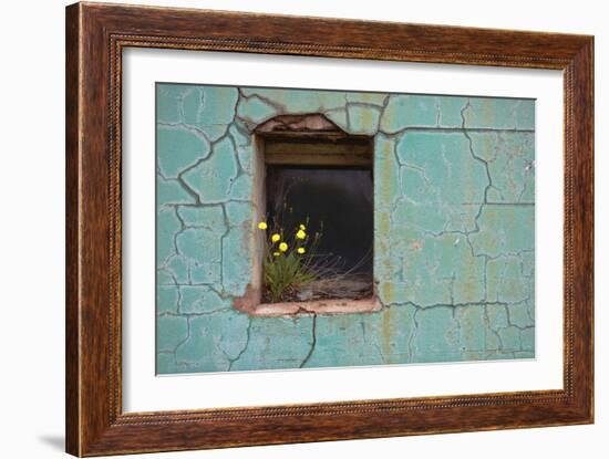 Window 3-Wayne Bradbury-Framed Photographic Print