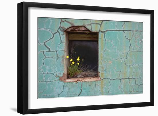 Window 3-Wayne Bradbury-Framed Photographic Print