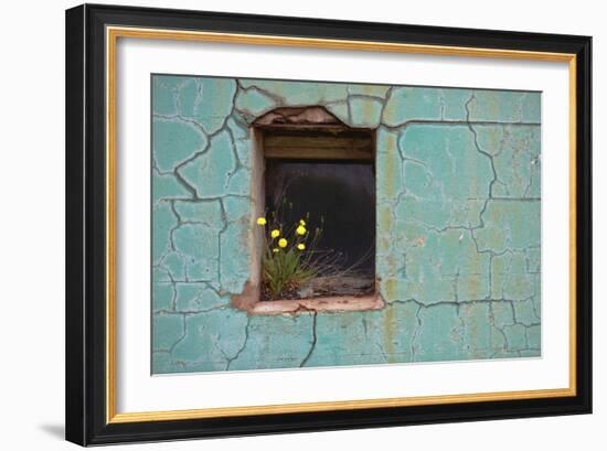 Window 3-Wayne Bradbury-Framed Photographic Print