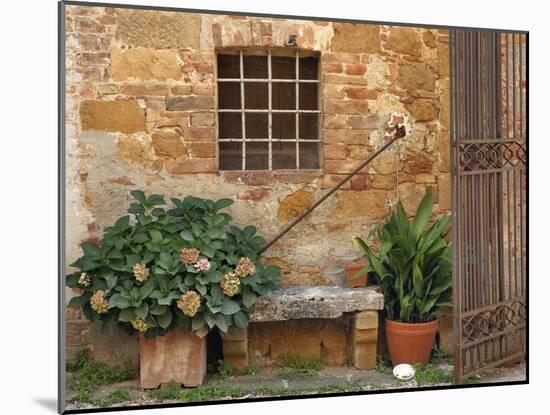 Window and Ancient Stone Wall, Pienza, Tuscany, Italy-Adam Jones-Mounted Photographic Print