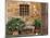 Window and Ancient Stone Wall, Pienza, Tuscany, Italy-Adam Jones-Mounted Photographic Print