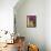 Window and Flower Pots, San Miguel De Allende, Guanajuato State, Mexico-Julie Eggers-Framed Premier Image Canvas displayed on a wall