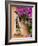 Window and Flower Pots, San Miguel De Allende, Guanajuato State, Mexico-Julie Eggers-Framed Photographic Print