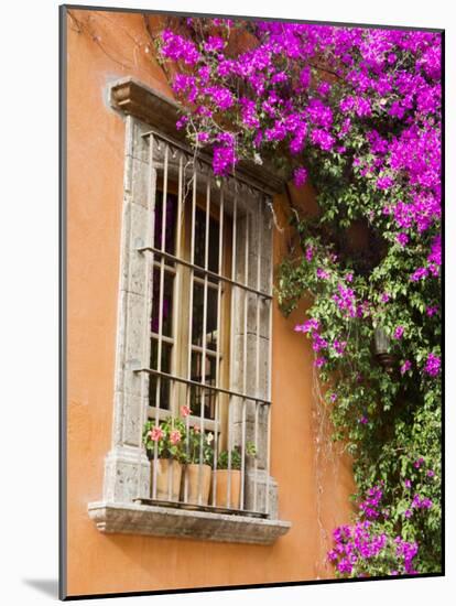 Window and Flower Pots, San Miguel De Allende, Guanajuato State, Mexico-Julie Eggers-Mounted Photographic Print