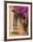 Window and Flower Pots, San Miguel De Allende, Guanajuato State, Mexico-Julie Eggers-Framed Photographic Print