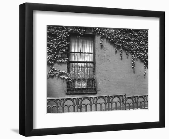 Window and Ivy, New York, 1945-Brett Weston-Framed Photographic Print