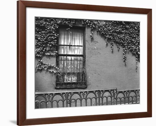 Window and Ivy, New York, 1945-Brett Weston-Framed Photographic Print