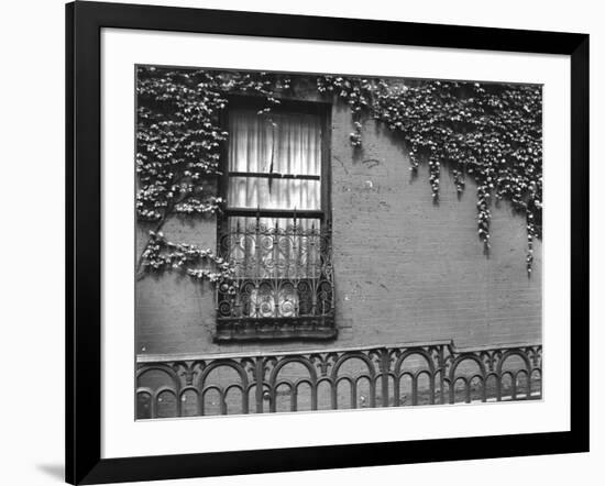 Window and Ivy, New York, 1945-Brett Weston-Framed Photographic Print