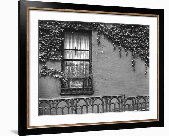 Window and Ivy, New York, 1945-Brett Weston-Framed Photographic Print