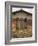 Window and Shutters with Flowerbox of Yellow Flowers, Figline Village, Tuscany, Italy-Janis Miglavs-Framed Photographic Print