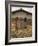 Window and Shutters with Flowerbox of Yellow Flowers, Figline Village, Tuscany, Italy-Janis Miglavs-Framed Photographic Print