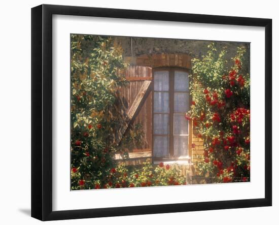 Window, Apt, Provence, France-Walter Bibikow-Framed Photographic Print