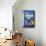 Window at Tangiers-Henri Matisse-Mounted Art Print displayed on a wall