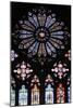 Window, Bourges Cathedral, France (Stained Glass)-French School-Mounted Giclee Print