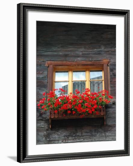 Window Box with Flowers, Zermatt, Switzerland-Lisa S^ Engelbrecht-Framed Photographic Print