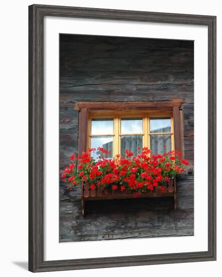 Window Box with Flowers, Zermatt, Switzerland-Lisa S^ Engelbrecht-Framed Photographic Print