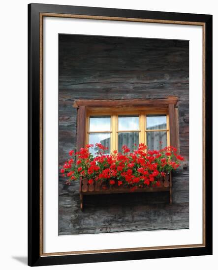 Window Box with Flowers, Zermatt, Switzerland-Lisa S^ Engelbrecht-Framed Photographic Print