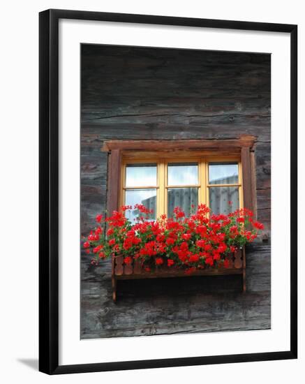 Window Box with Flowers, Zermatt, Switzerland-Lisa S^ Engelbrecht-Framed Photographic Print