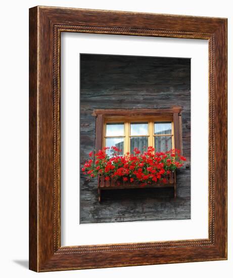 Window Box with Flowers, Zermatt, Switzerland-Lisa S^ Engelbrecht-Framed Photographic Print