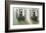 Window Boxes-Zhen-Huan Lu-Framed Giclee Print