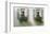 Window Boxes-Zhen-Huan Lu-Framed Giclee Print