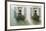 Window Boxes-Zhen-Huan Lu-Framed Giclee Print