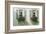 Window Boxes-Zhen-Huan Lu-Framed Art Print