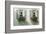 Window Boxes-Zhen-Huan Lu-Framed Art Print