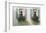 Window Boxes-Zhen-Huan Lu-Framed Art Print