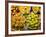 Window Display of Traditional Marzipan Fruits and Grappa, Taormina, Sicily, Italy, Europe-Martin Child-Framed Photographic Print