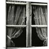 Window, Europe, 1971-Brett Weston-Mounted Premium Photographic Print