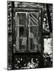 Window, Europe, 1972-Brett Weston-Mounted Photographic Print