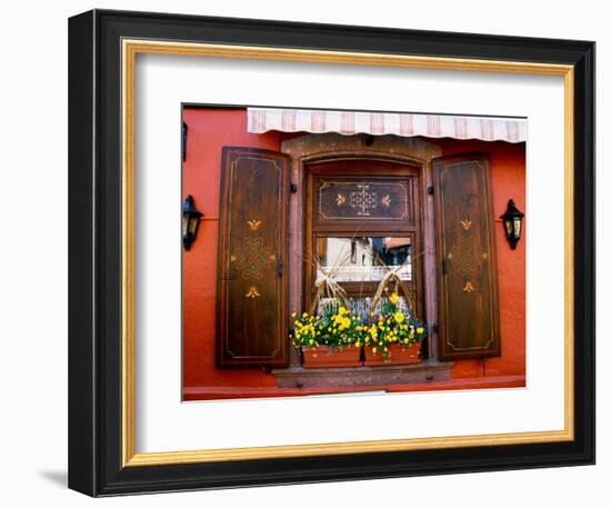 Window Flower Pots and Shutters, Alsace, France-Tom Haseltine-Framed Photographic Print