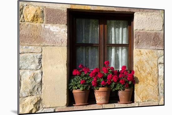 Window Flower Pots in Village of Santillana Del Mar, Cantabria, Spain-David R^ Frazier-Mounted Photographic Print