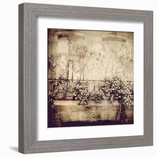 Window Garden-Dawne Polis-Framed Giclee Print