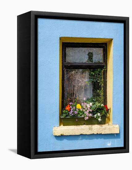 Window greets visitors in the village of Cong, Connacht County, Ireland.-Betty Sederquist-Framed Premier Image Canvas